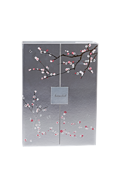 Èdition Noël 2025 - Summerbird Organic